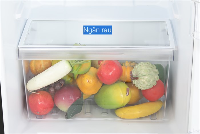 Tủ Lạnh Toshiba Inverter 253 Lít GR-RT329WE-PMV(52)